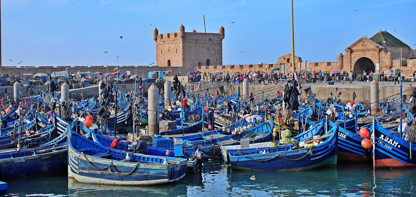 Taghazout to Essaouira private transfer with Chiwash Taxi Morocco